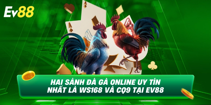 Sảnh đá gà EV88